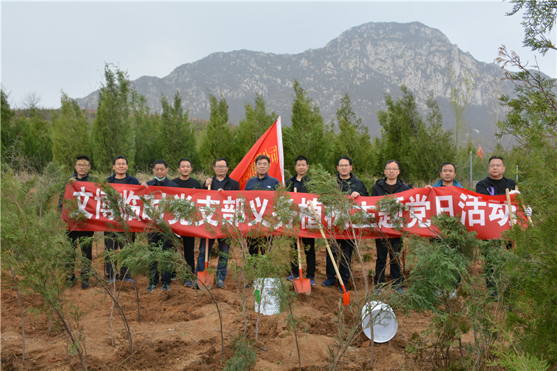 集团公司文博中心项目部临时党支部开展义务植树主题党日活动