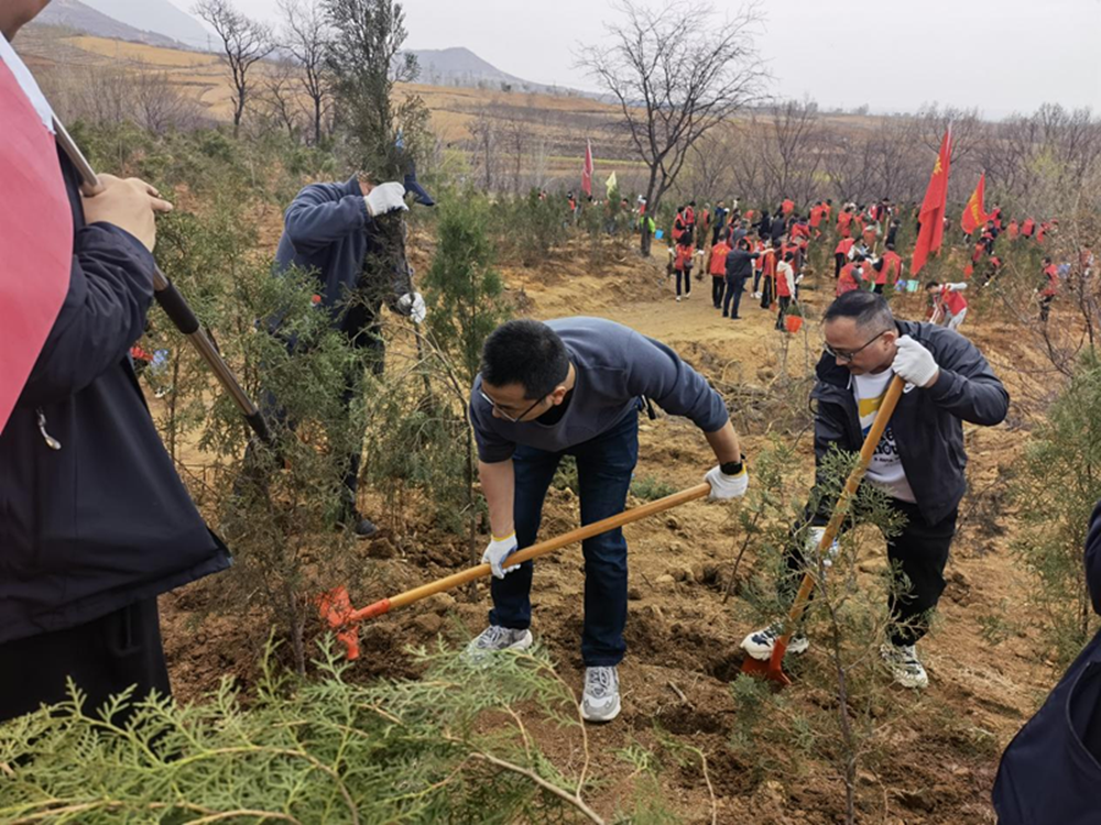 春风吹新绿   植树正当时